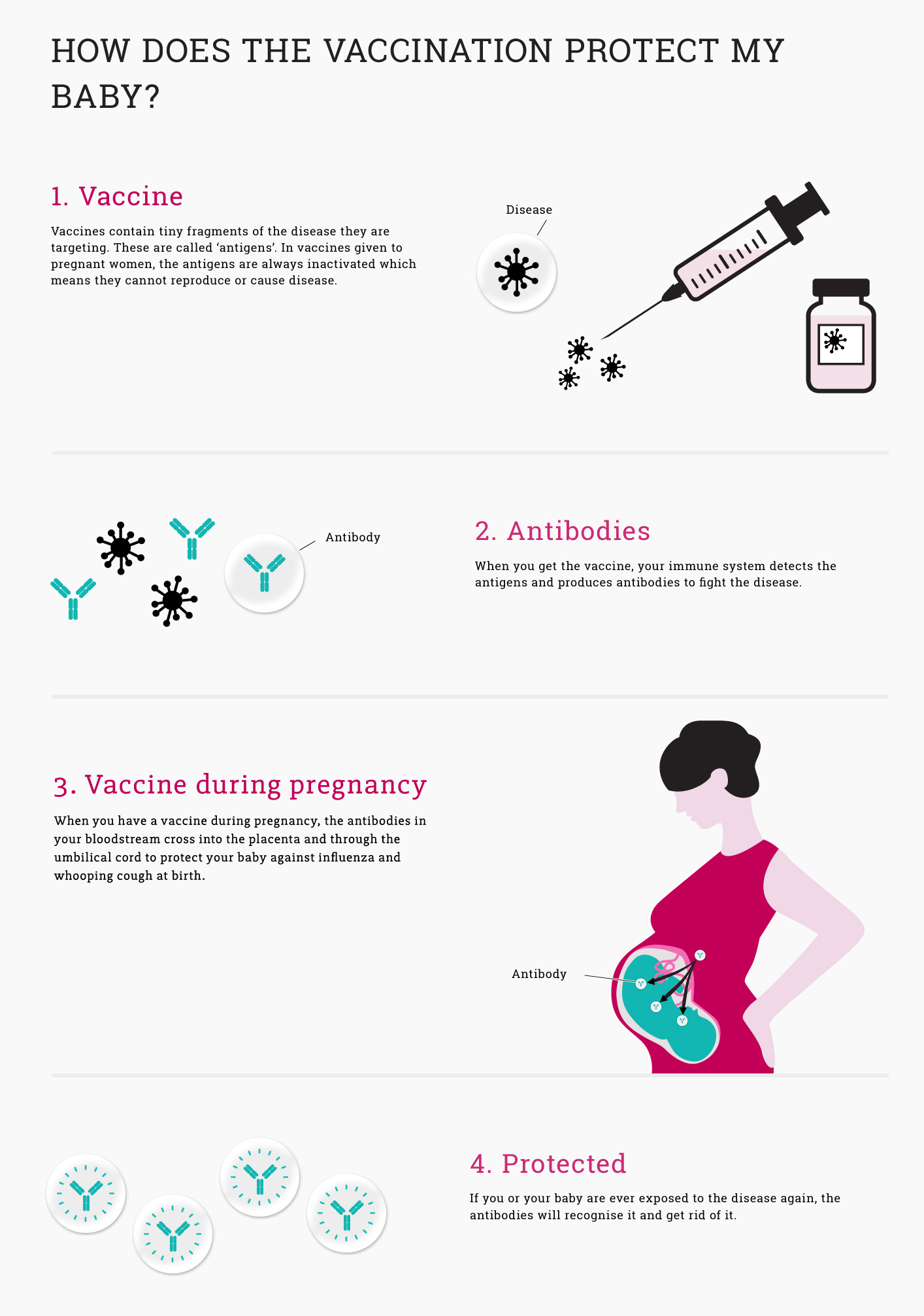 Infographic: how does the vaccination protect my baby